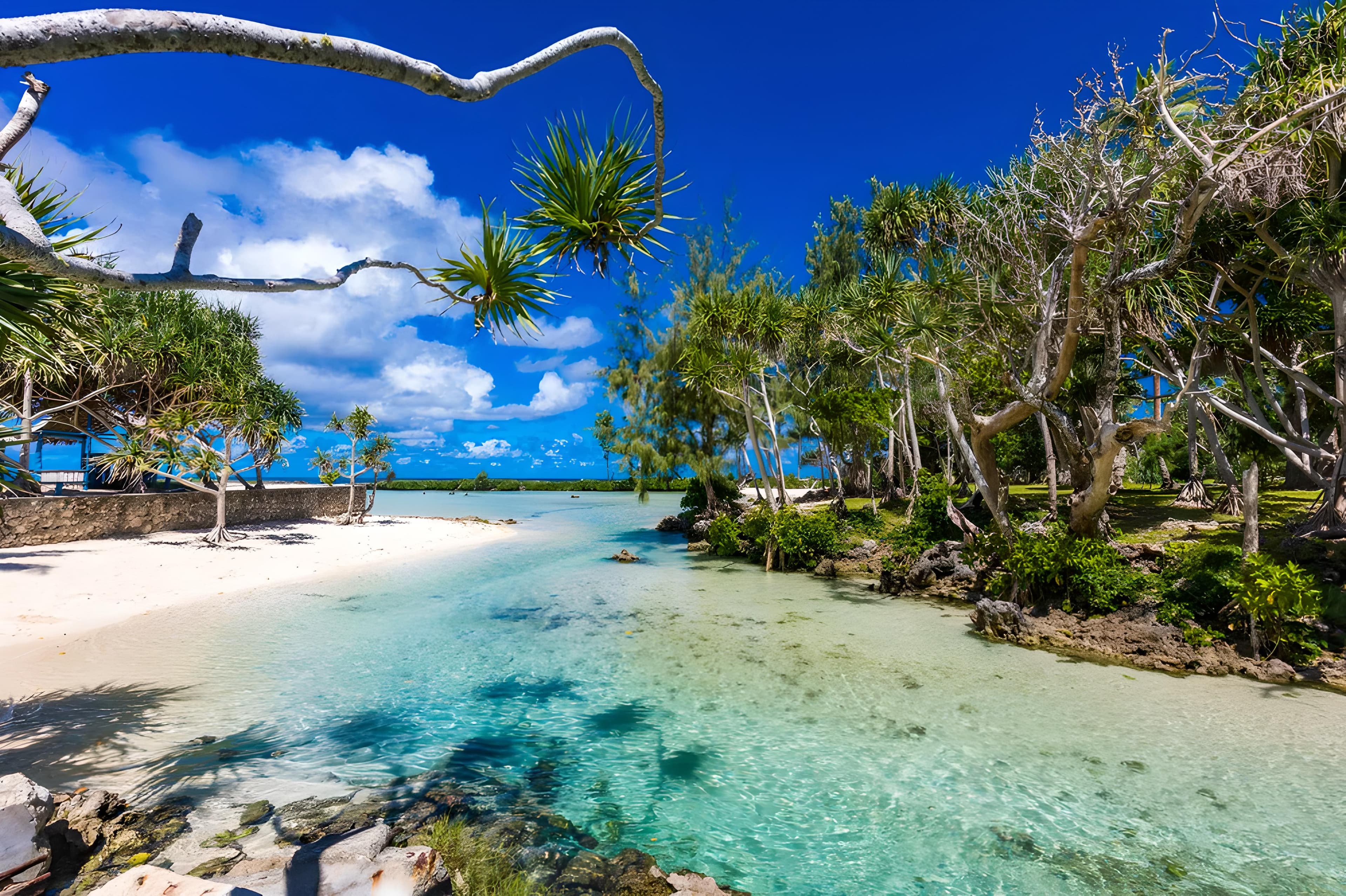 Auckland to Port vila